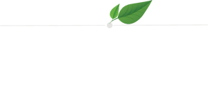 Teleferik Kır Bahçesi
